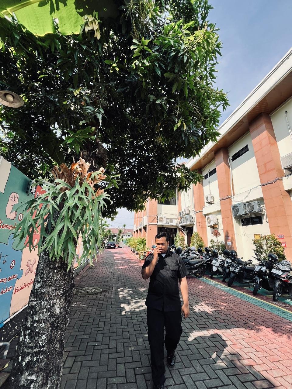 Ahmad Zulfikar